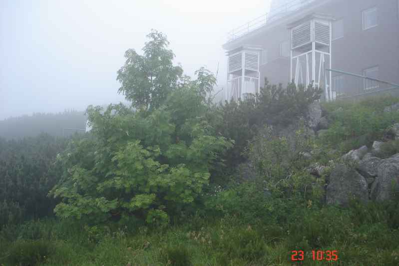 Napriek nepriazniv�mu po�asu bol po�et n�v�tevn�kov Skalnat�ho plesa hojn�.